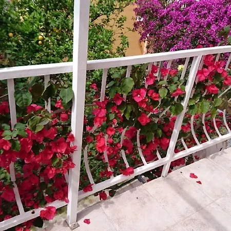 Ora Apartament